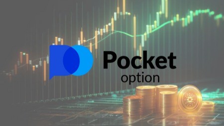 Connecting with Traders Your Pocket Option Contact Guide Connecting with Traders Your Pocket Option Contact Guide