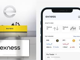 Ultimate Guide to Setting Up Your Exness Mt5 Platform Ultimate Guide to Setting Up Your Exness Mt5 Platform