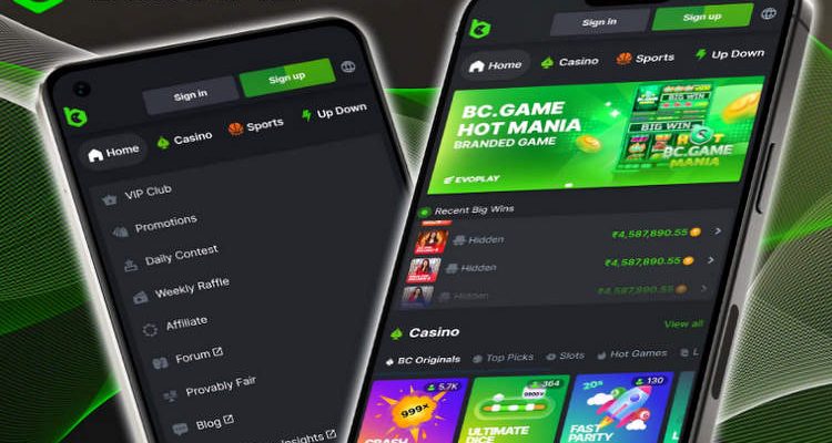 Understanding the Online Bookmaker BC.Game A Comprehensive Guide