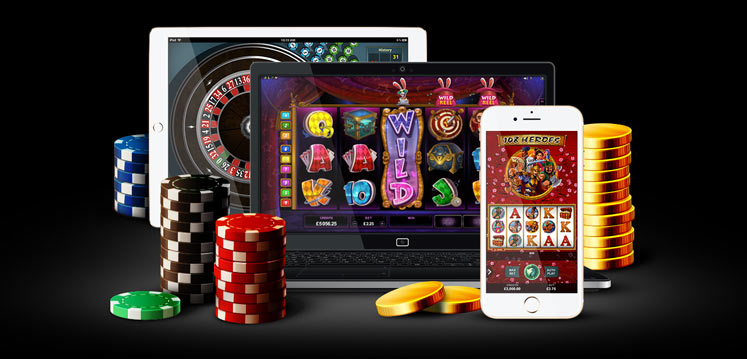 Discover Excitement at Amigo Wins Casino Discover Excitement at Amigo Wins Casino