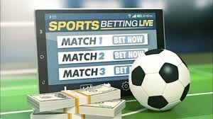 Discover the Excitement of falme bet Your Ultimate Betting Destination
