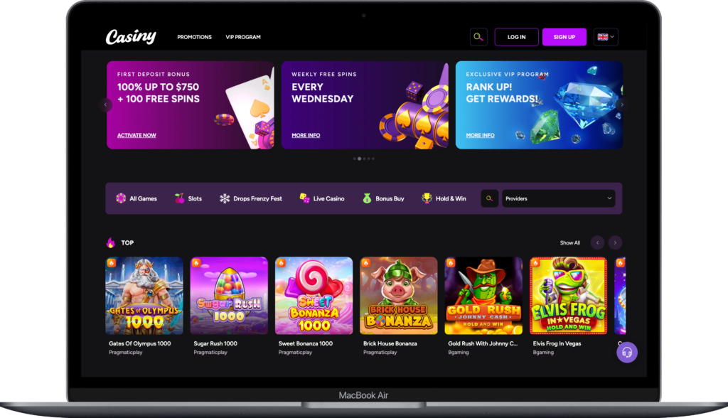 Complete Guide to Casiny Login for New Users Complete Guide to Casiny Login for New Users