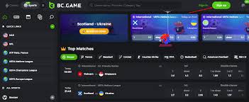 Discover the Excitement of BCGame Casino 12