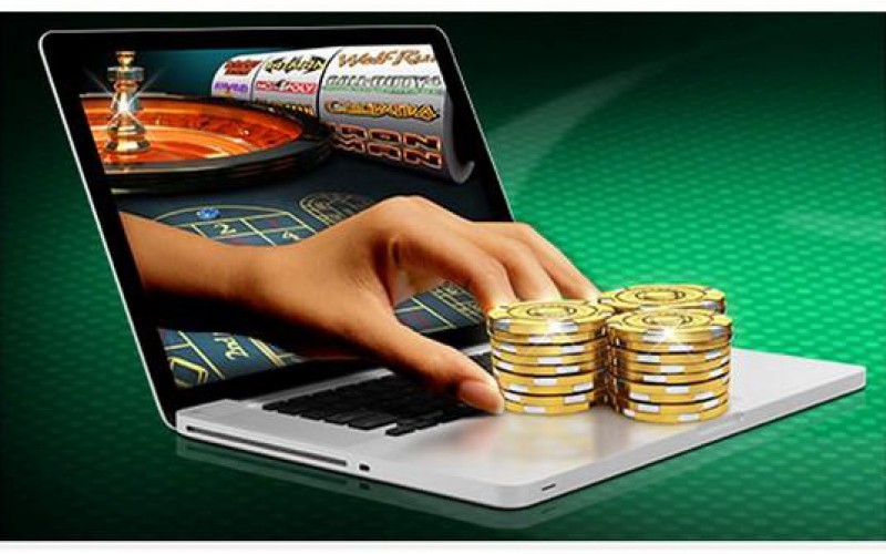 Maximize Your Earnings How to Maximize Loyalty Rewards