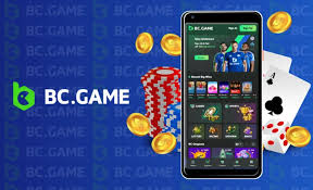 Comprehensive Guide to Payment Methods BC Game 3