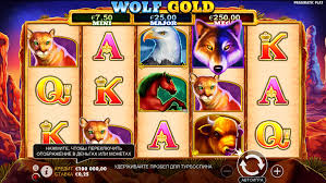 wolf gold casino 당신의 운을 시험해 보세요