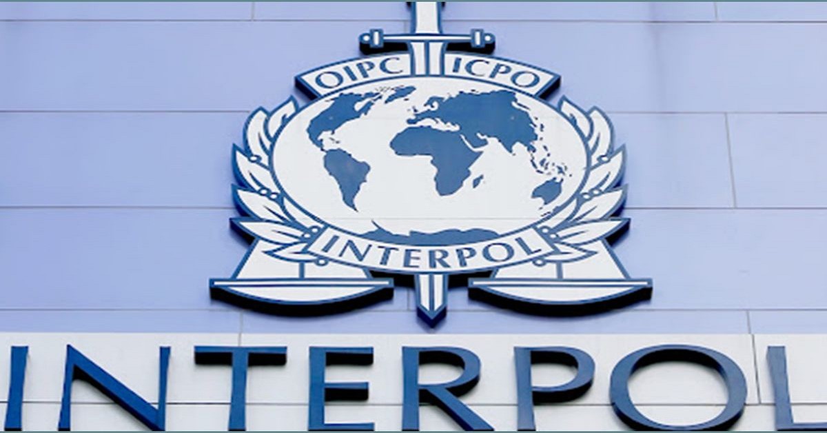Understanding Legal Protections Against Interpol Errors Understanding Legal Protections Against Interpol Errors